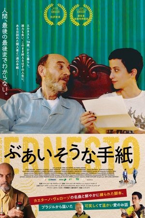 透过欧内斯托的眼睛