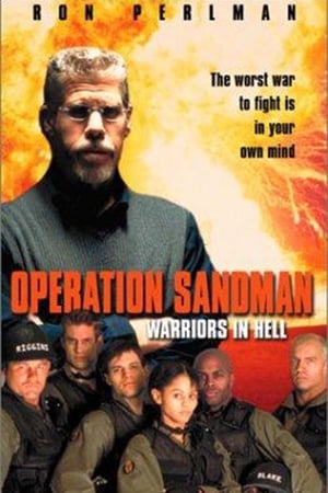 Operation Sandman