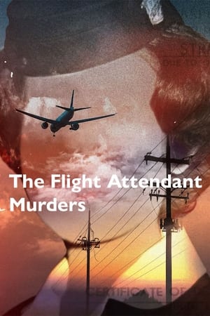 The Flight Attendant Murders