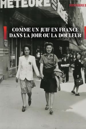 Comme un Juif en France dans la Joie et la Douleur