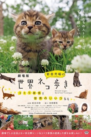 岩合光昭的猫步走世界
