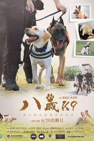 八歲
